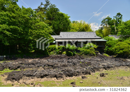[Shizuoka Prefecture] Rakujuen Obama Pond in Mishima City Park, where drought continues 31824362