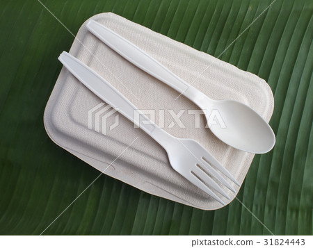 bioplastic spoon fork and disposable lunch box 31824443