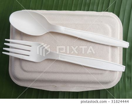 bioplastic spoon fork and disposable lunch box 31824444