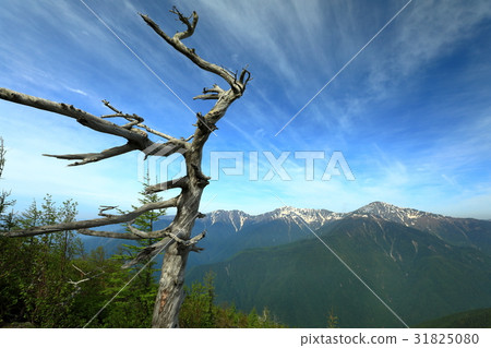 從南阿爾卑斯山看到的Shiramine Misan·Tsujiyama 31825080