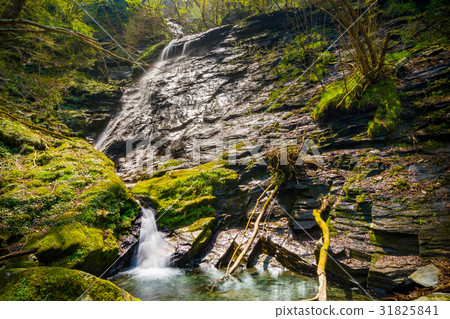 四國著名的赤越山的千疊垣[赤越山1,453m] 31825841