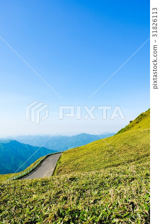 瓶森林森林公路 瓶森林森林公路 31826113