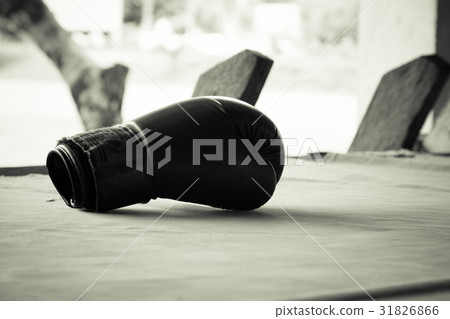 Old red boxing gloves on canvas 31826866