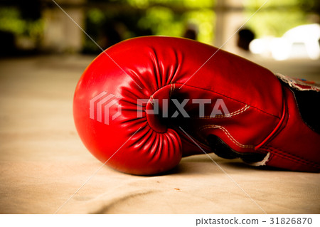 Old red boxing gloves on canvas 31826870