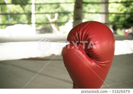 Old red boxing gloves on canvas Old red boxing gloves on canvas 31826879
