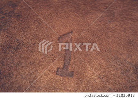 Number 1 on Cow's Skin Number 1 on Cow's Skin 31826918