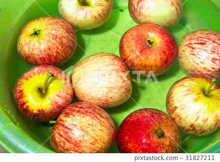 Healthy eating 31827211