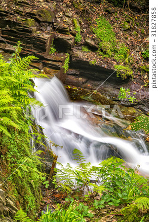 Waterfall in St Nectan's Glen 31827858