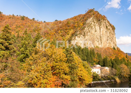 秋葉八木長崎 31828092