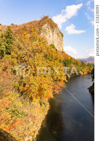 秋葉八木長崎 31828095