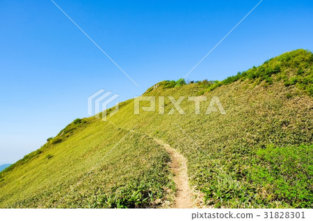 龜守 龜守 31828301