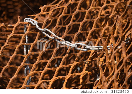 Wire mesh and chain 31828430
