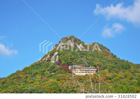 Taro Boy Palace of Kinshu 31828502