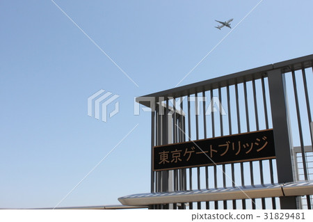 Tokyo Bay Bridge 31829481