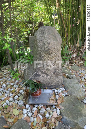 Toyosaki Shrine ~ Kamishi ~ Toyosaki Shrine ~ Kamishi ~ 31830111