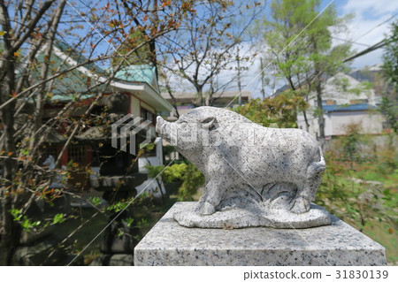 Toyosaki Shrine Toyosaki Shrine 31830139