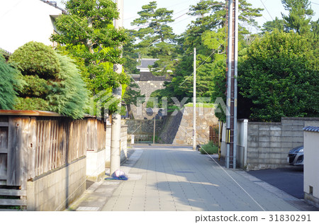 curve-mirror	 31830291