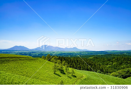 甘遂村Higotai公園 31830906