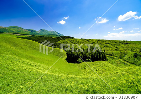 甘遂村Higotai公園 31830907