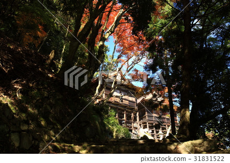 From Hiyoshi Taisha From Hiyoshi Taisha 31831522