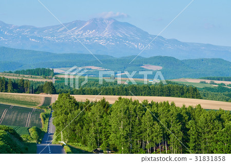 查看從實際水果山Taisetsu朝日山 查看從實際水果山Taisetsu朝日山 31831858