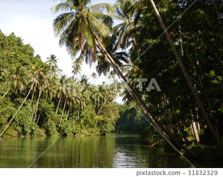 Robok River _ 3 31832329