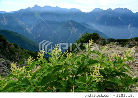 Ontade and spear / Hodaka mountain range of the Northern Alps · Toyodake Ridgeline Ontade and spear / Hodaka mountain range of the Northern Alps · Toyodake Ridgeline 31833183