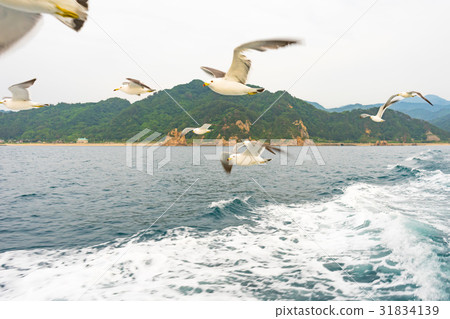 Sasagawa flow pillar from a boat boat 31834139