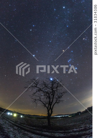 Wood and winter diamonds 31834386