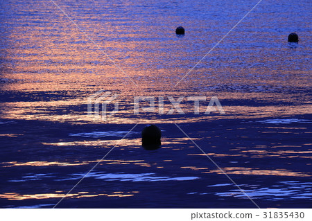 The sea at dusk The sea at dusk 31835430