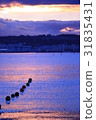 黃昏的大海 31835431