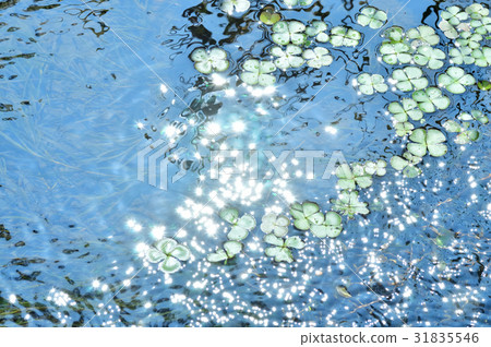 River glow River glow 31835546
