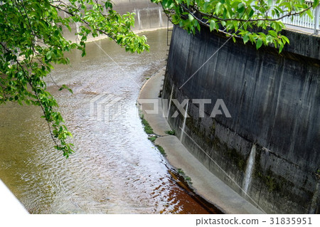 Shakujii河東京 31835951