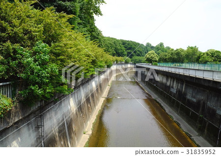 Shakujii河東京 31835952