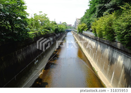 Shakujii河東京 31835953