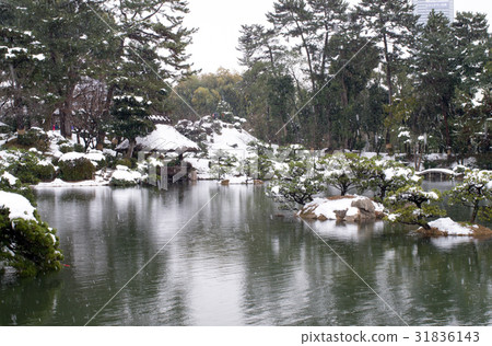 雪化妝神社 雪化妝神社 31836143