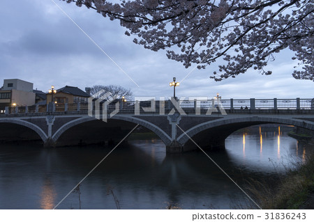 Kanazawa cherry blossom blooming Asano River neighborhood in the twilight Kanazawa cherry blossom blooming Asano River neighborhood in the twilight 31836243