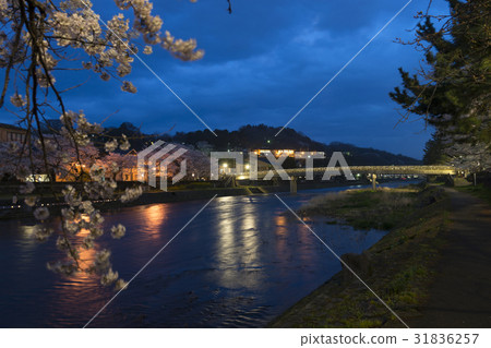 金澤春天的夜晚在淺野河內 金澤春天的夜晚在淺野河內 31836257