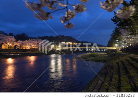 金澤春天的夜晚在淺野河內 金澤春天的夜晚在淺野河內 31836258