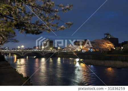 金澤春天的夜晚在淺野河內 31836259