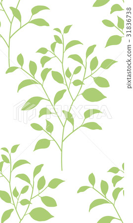 幼苗剪影<無縫> 31836738