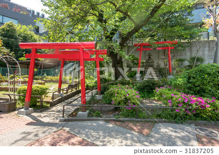神社洞公園 31837205