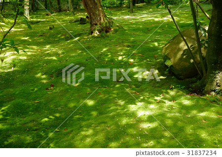 Morning garden of Akishisonji Temple in Nara 1 Morning garden of Akishisonji Temple in Nara 1 31837234