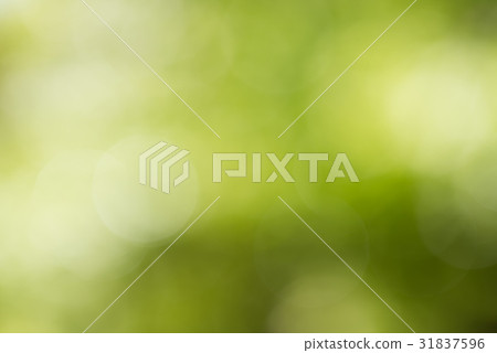 Abstract defocused green blurred background 31837596