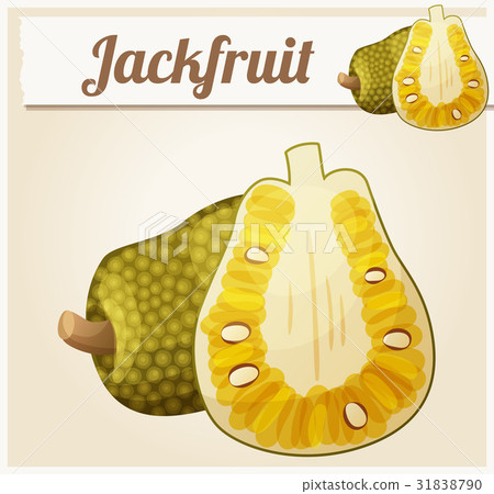 Jackfruit illustration. Cartoon vector icon 31838790