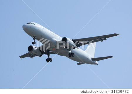 White Airplane landing 31839782