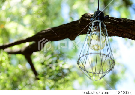 泛光燈 泛光燈 31840352