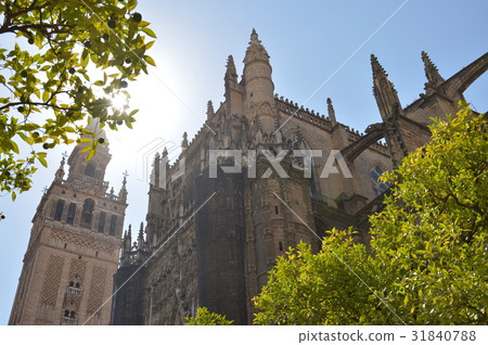 Seville Cathedral Seville Cathedral 31840788