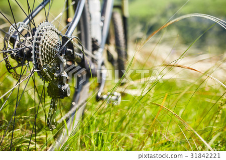Close-up of the bicycle wheel in the summer green 31842221
