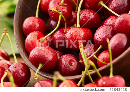 Close up of fresh cherry berries with water drops. Close up of fresh cherry berries with water drops. 31843428